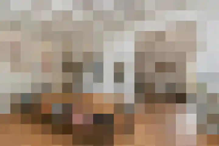 Noordereinde 149 's-Graveland thumbnail 5