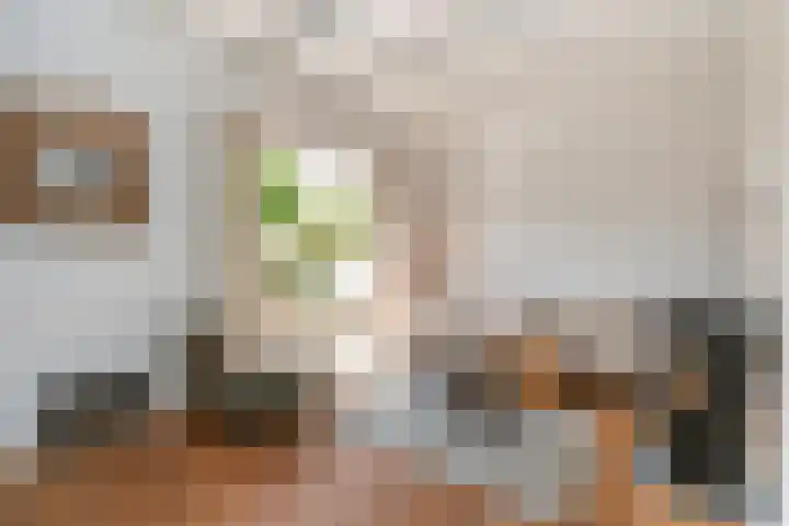 Noordereinde 149 's-Graveland thumbnail 7