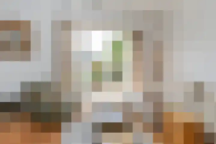 Noordereinde 149 's-Graveland thumbnail 8