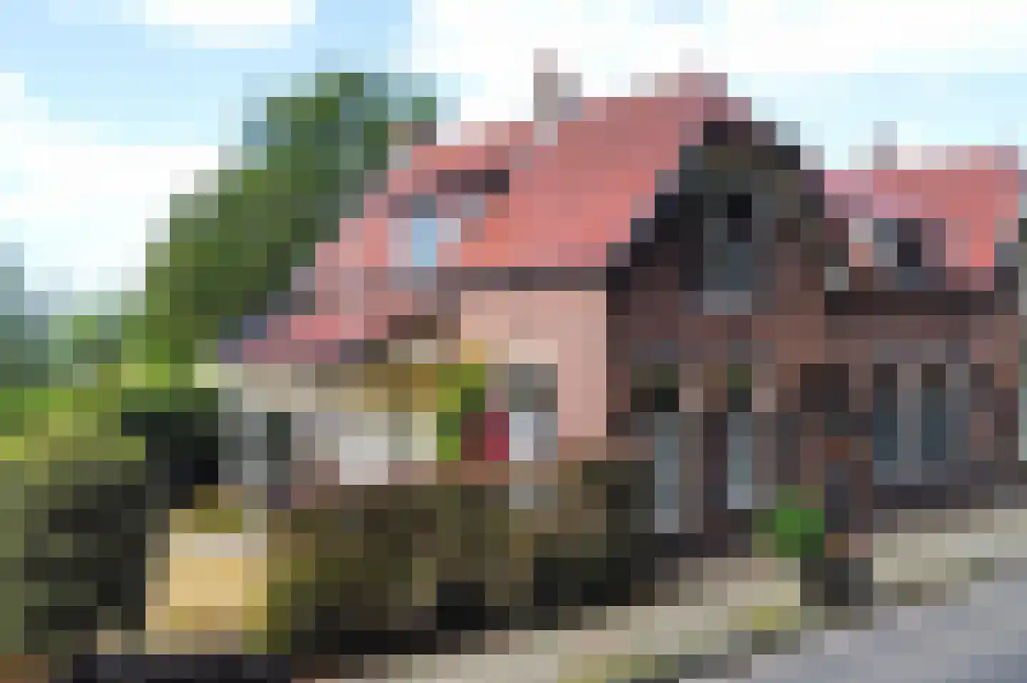 Noordereinde 205 's-Graveland foto 2