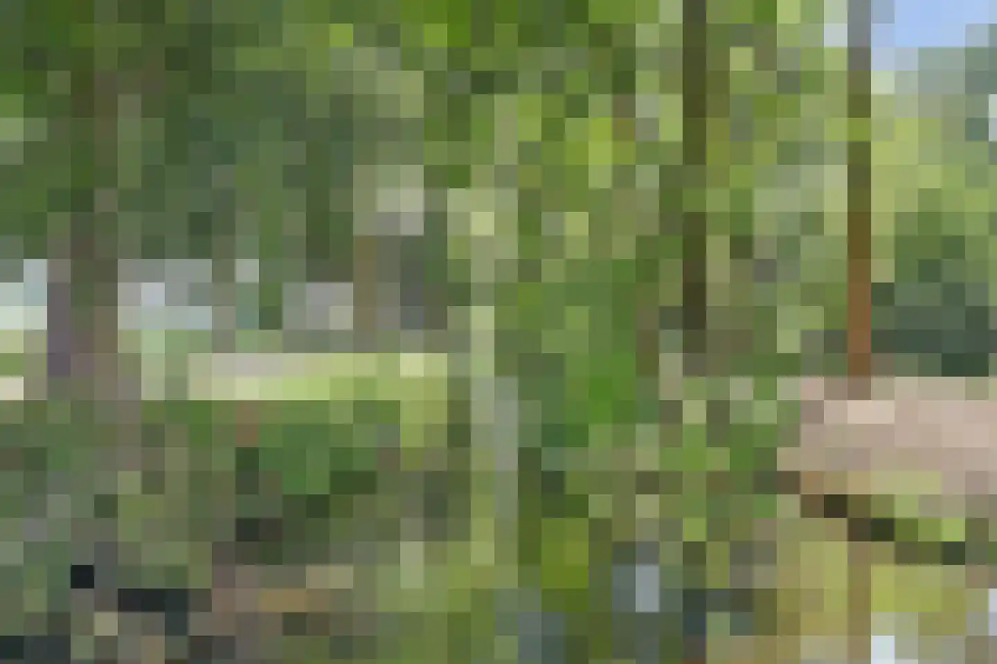 Noordereinde 205 's-Graveland thumbnail 37