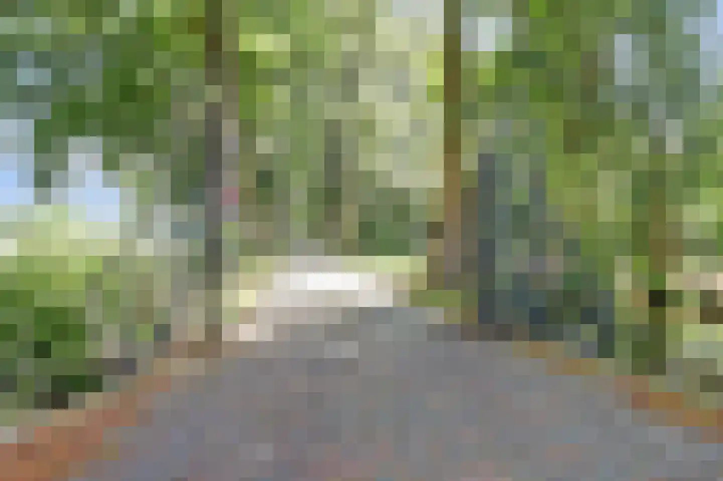 Noordereinde 205 's-Graveland thumbnail 39