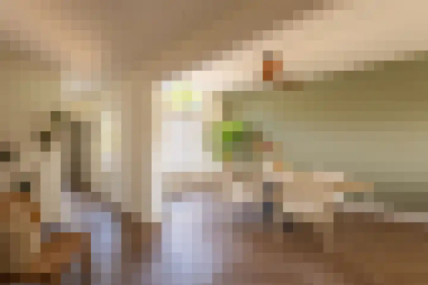 Noordereinde 23 's-Graveland thumbnail 10