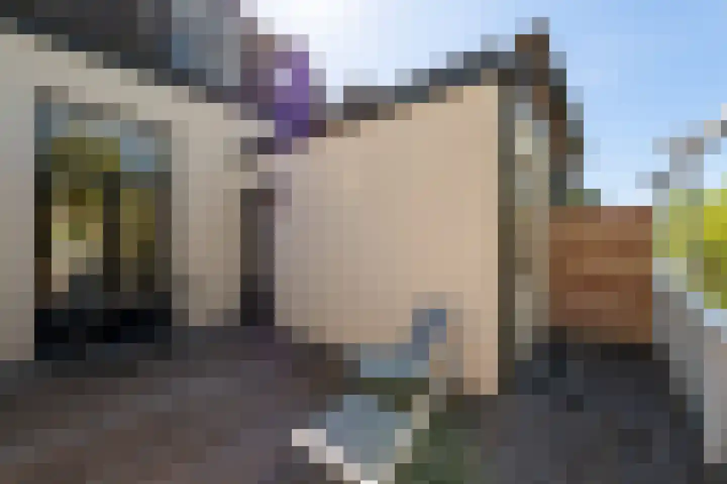 Noordereinde 23 's-Graveland thumbnail 17