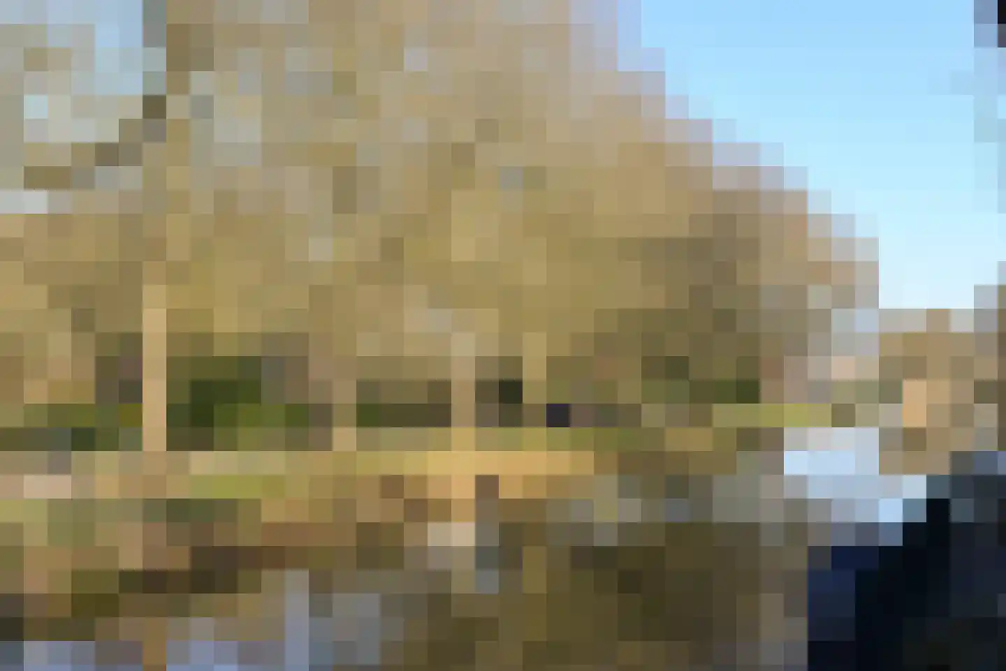 Noordereinde 263 's-Graveland thumbnail 13