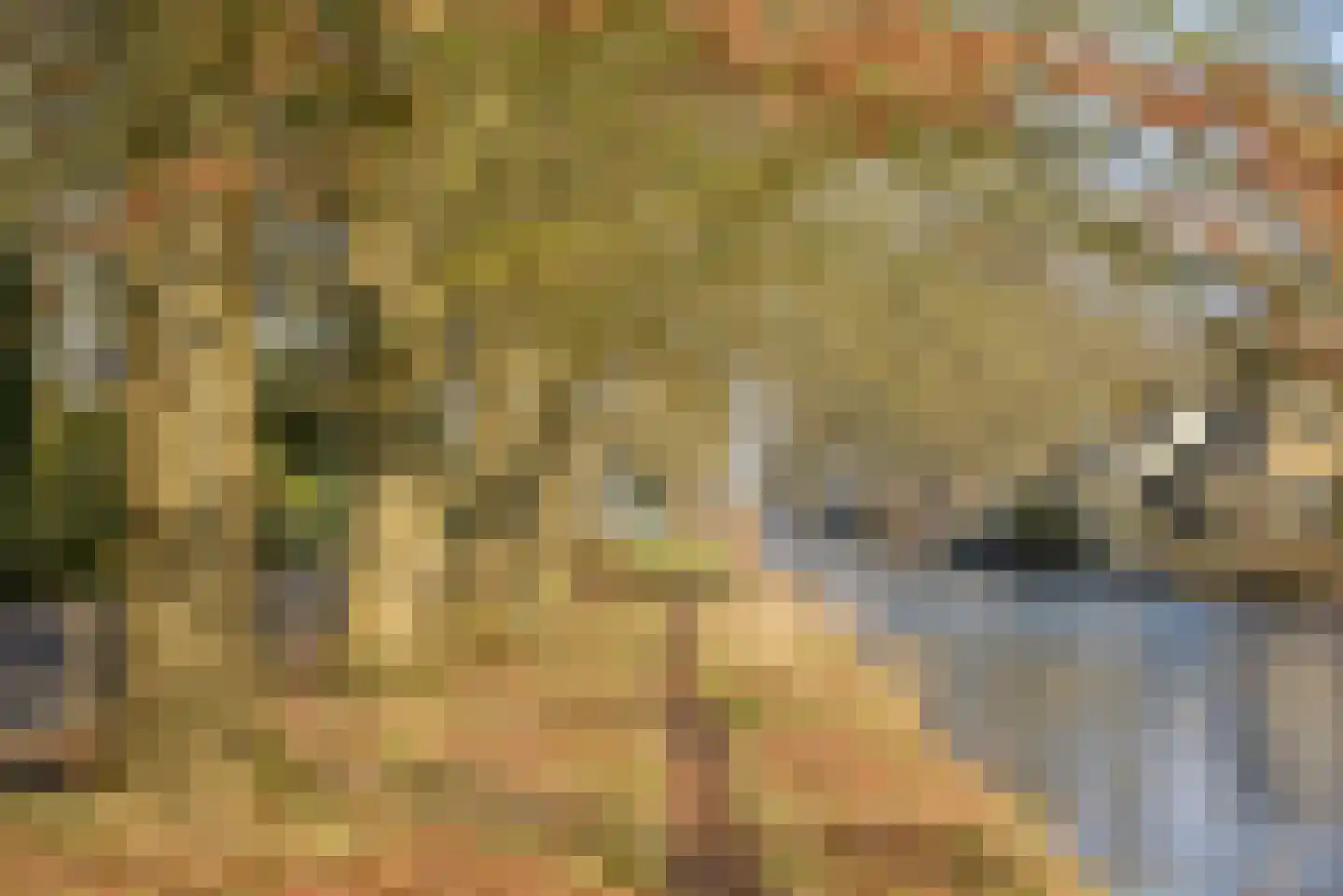 Noordereinde 267 's-Graveland thumbnail 17