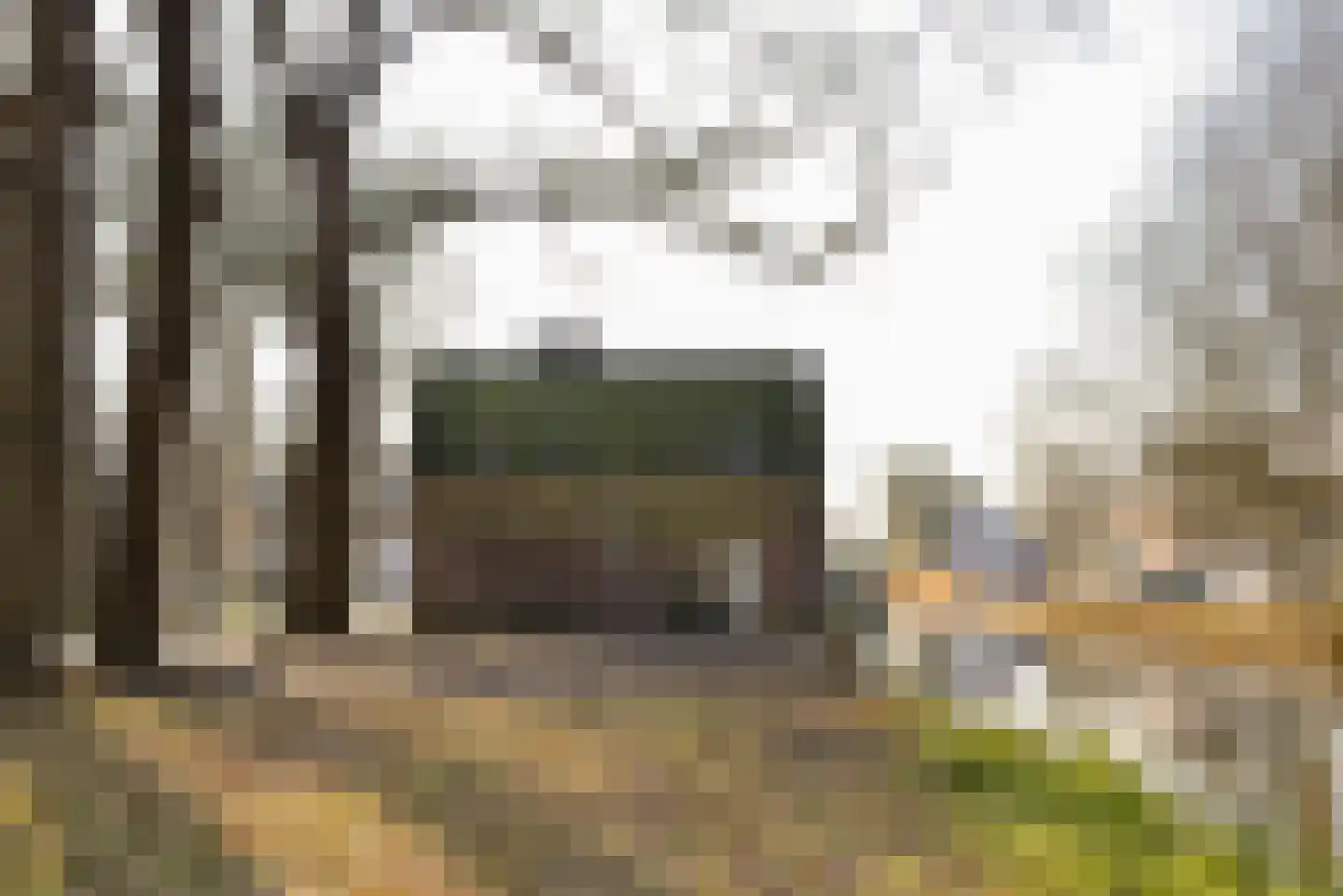 Noordereinde 267 's-Graveland thumbnail 8