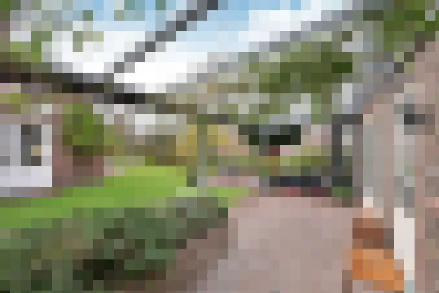 Noordereinde 287 's-Graveland thumbnail 17
