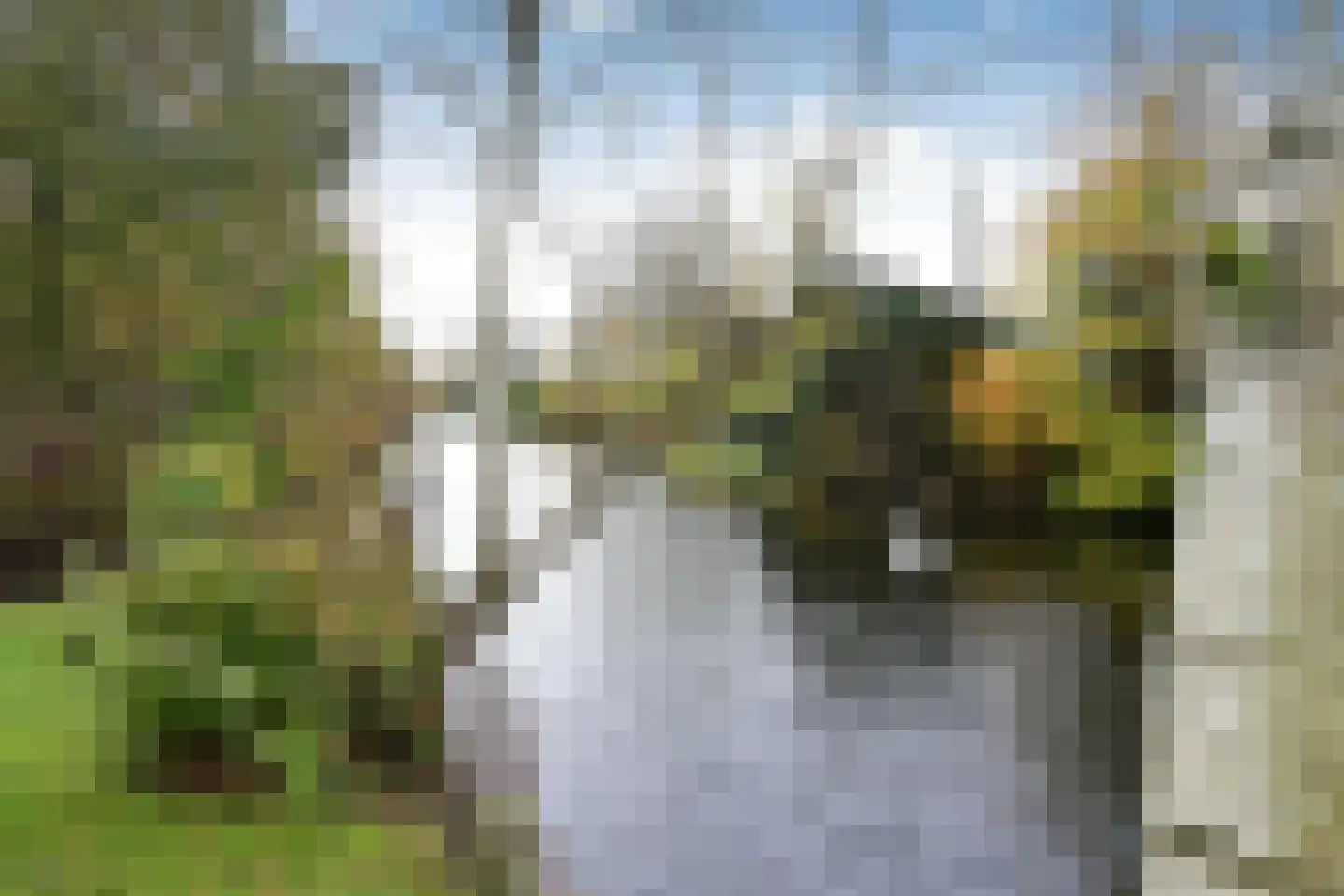 Noordereinde 287 's-Graveland thumbnail 18