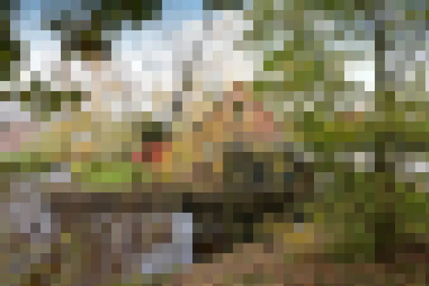 Noordereinde 287 's-Graveland thumbnail 19