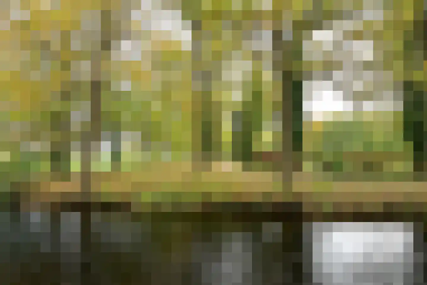 Noordereinde 287 's-Graveland thumbnail 38