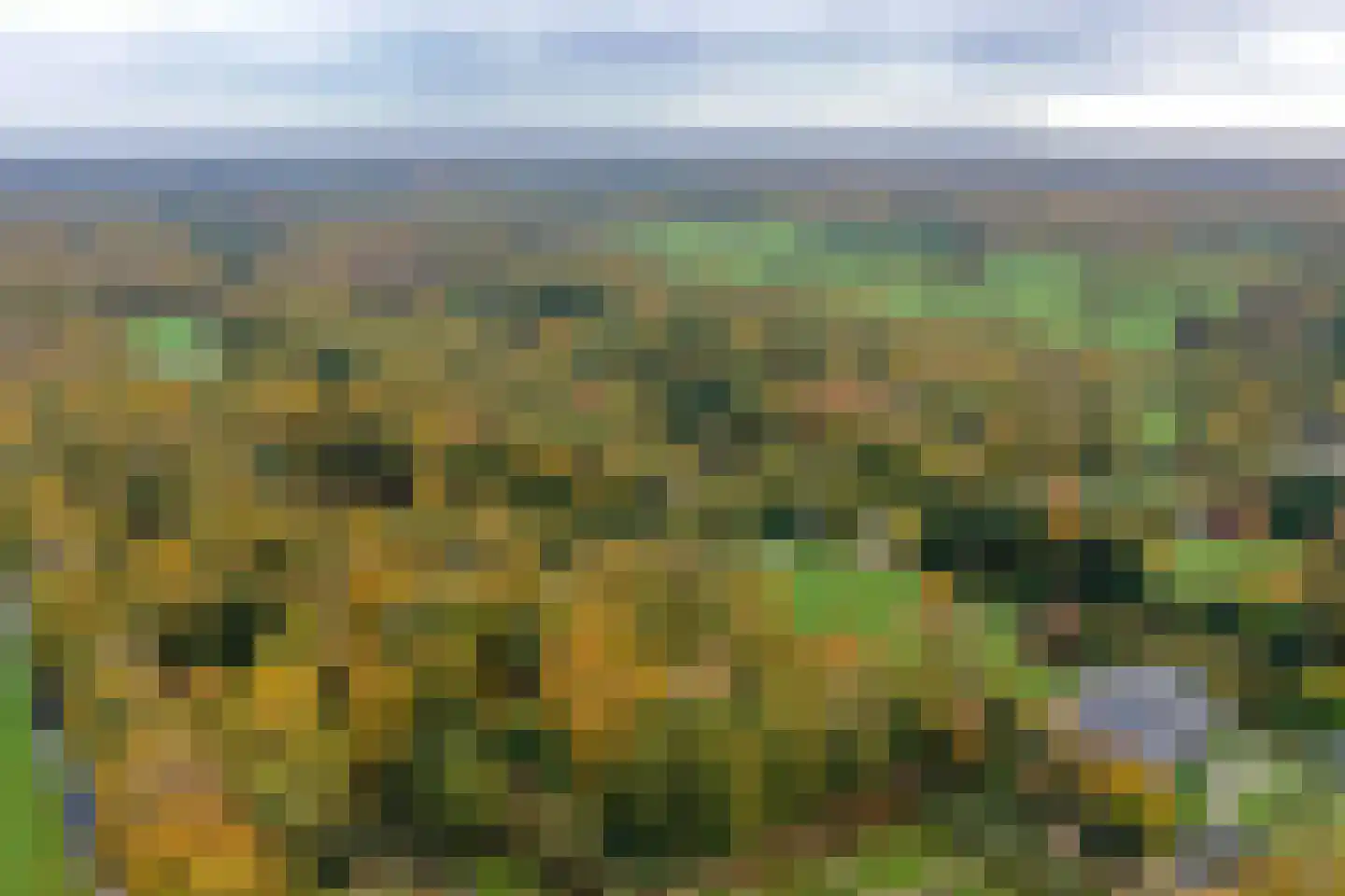 Noordereinde 287 's-Graveland thumbnail 39