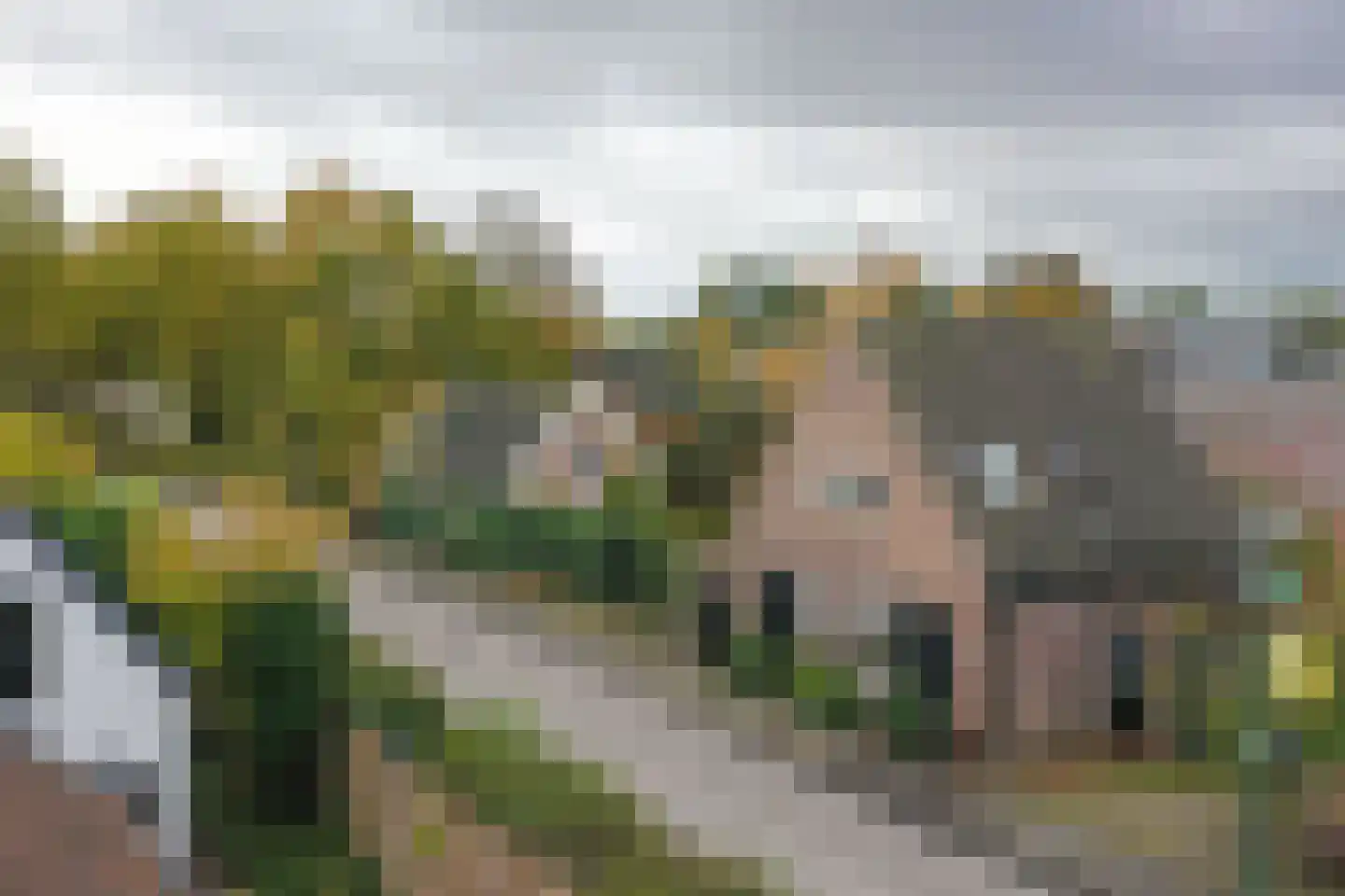 Noordereinde 287 's-Graveland thumbnail 40