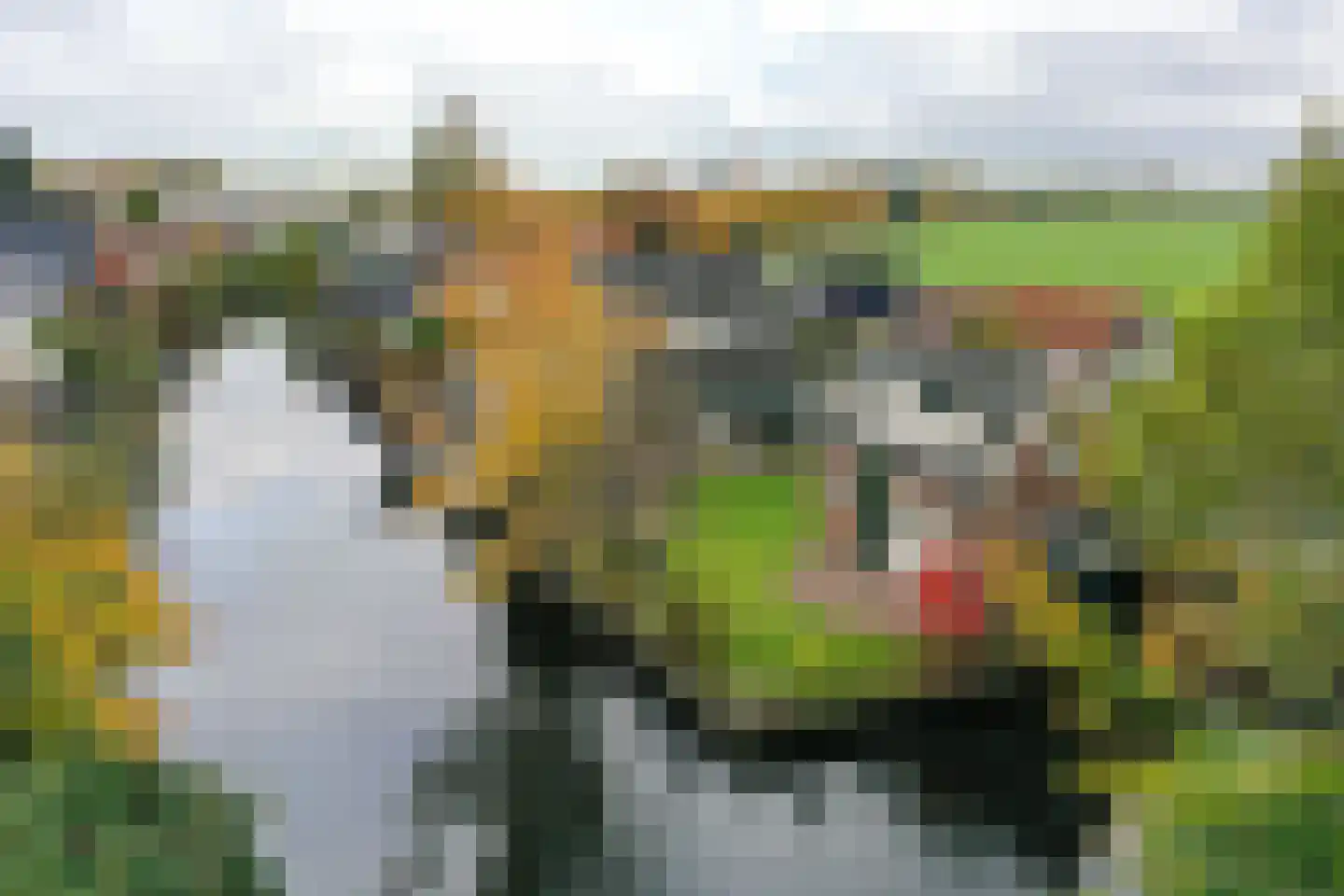 Noordereinde 287 's-Graveland thumbnail 41