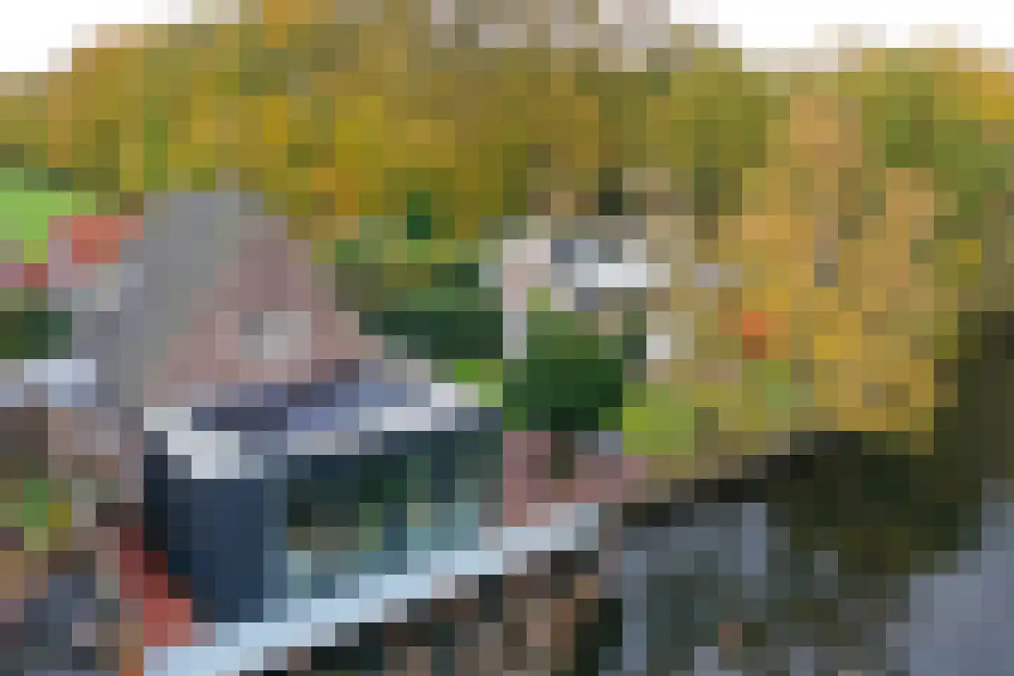 Noordereinde 287 's-Graveland thumbnail 42