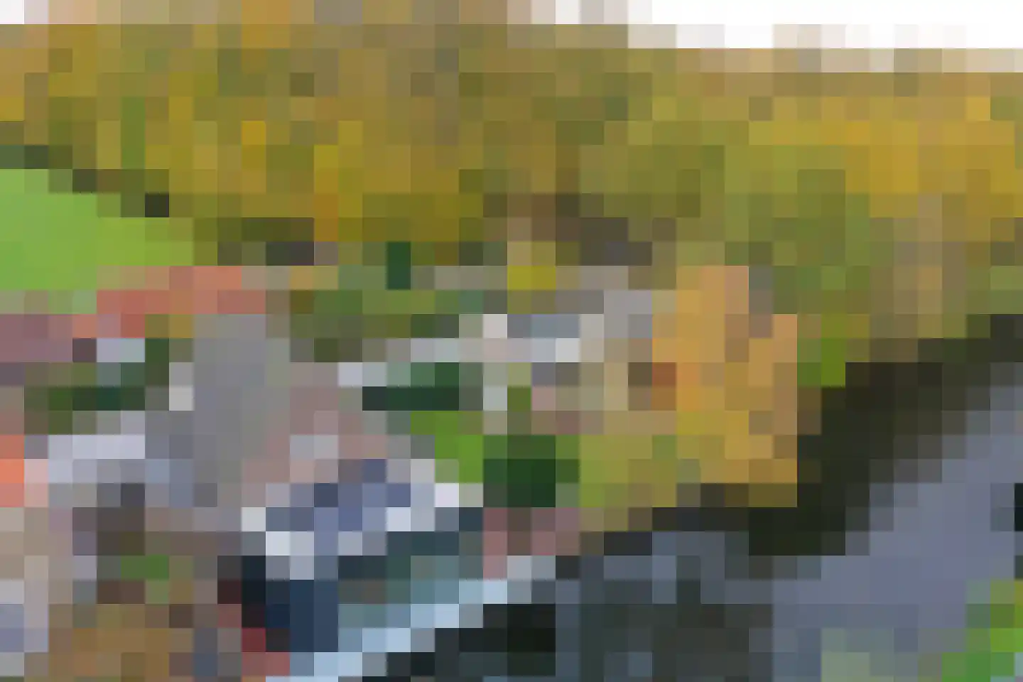 Noordereinde 287 's-Graveland thumbnail 43