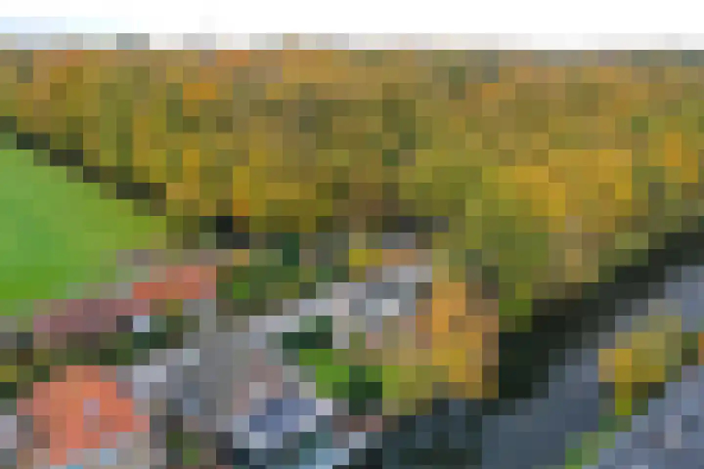 Noordereinde 287 's-Graveland thumbnail 44