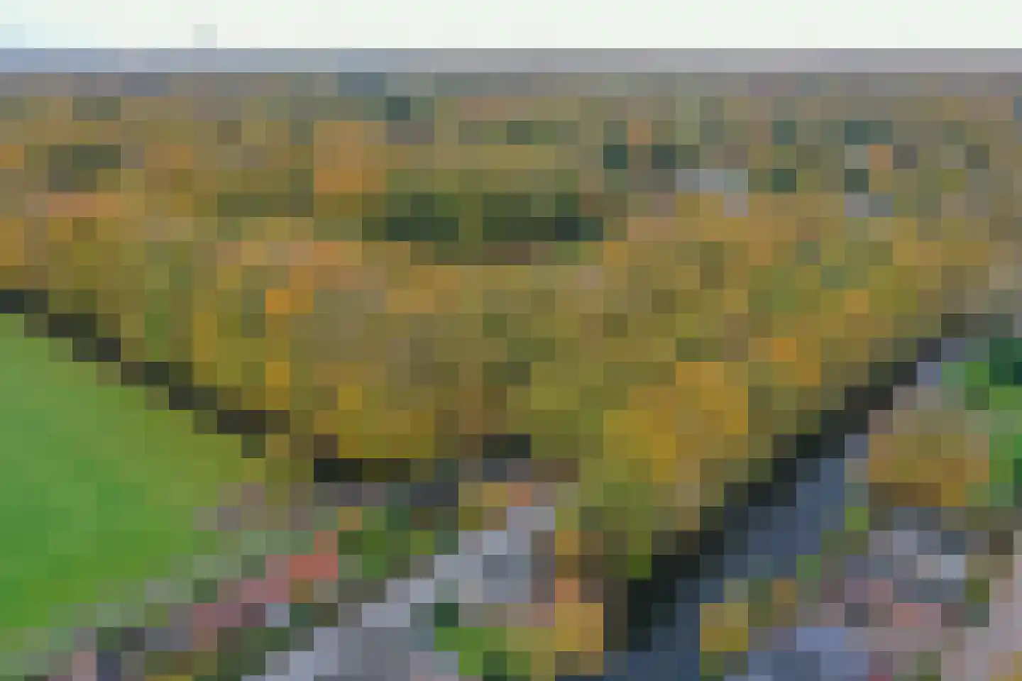 Noordereinde 287 's-Graveland thumbnail 45
