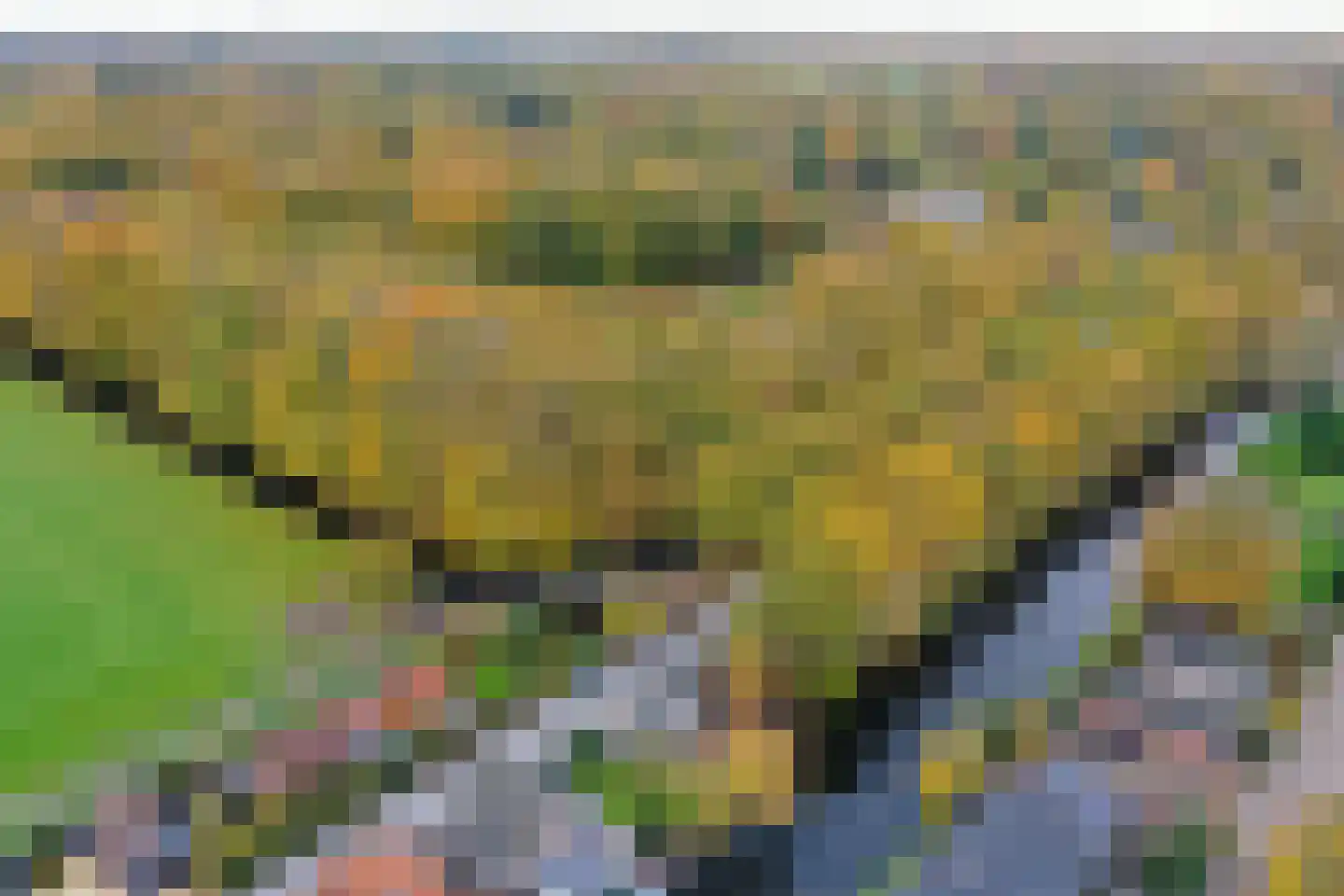 Noordereinde 287 's-Graveland thumbnail 46