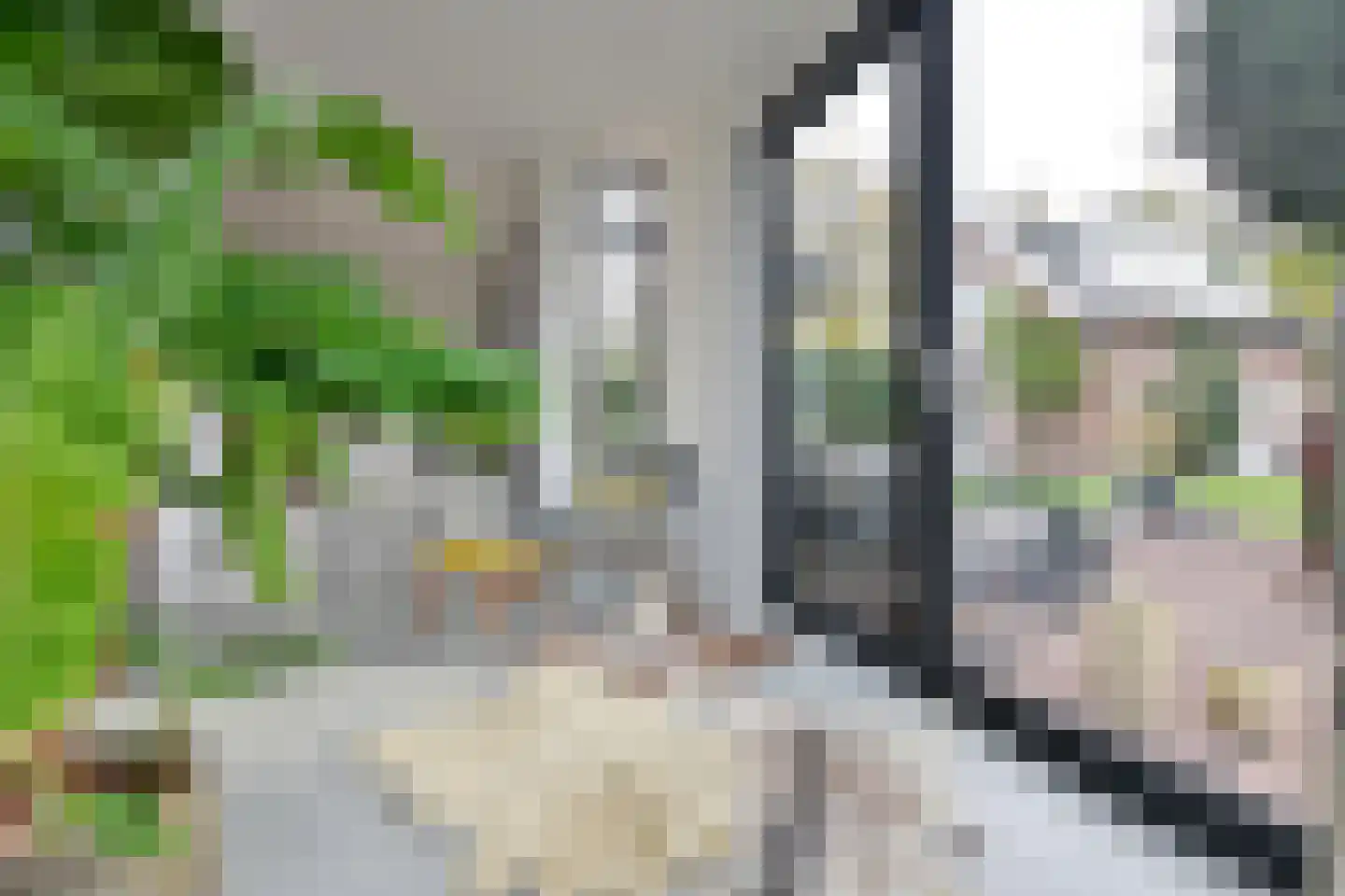 Noordereinde 287 's-Graveland thumbnail 9