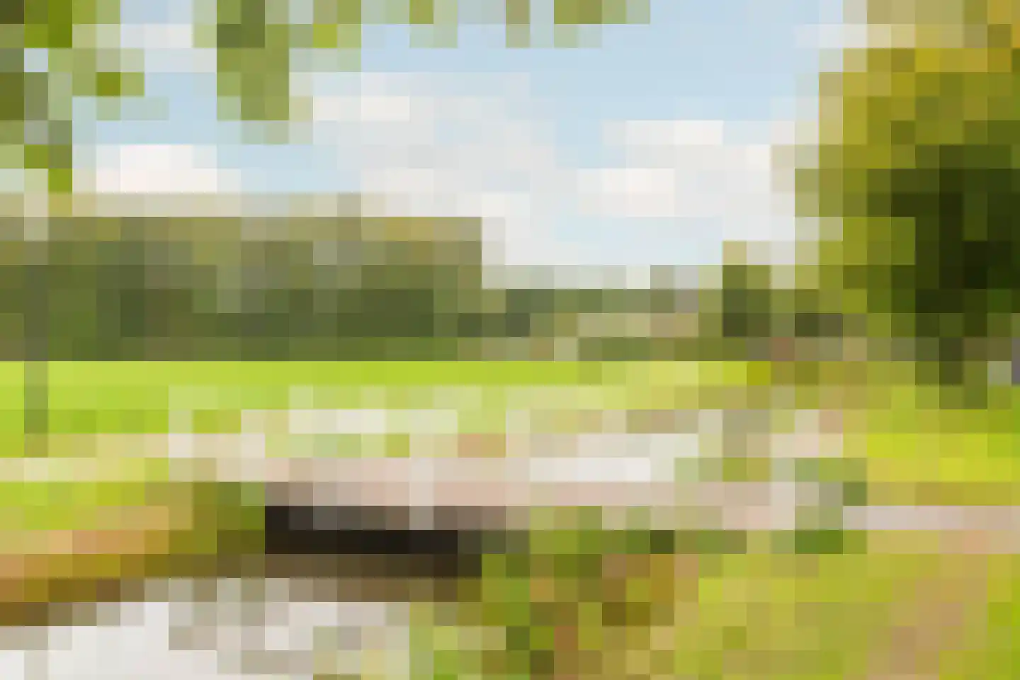 Noordereinde 311 's-Graveland thumbnail 30