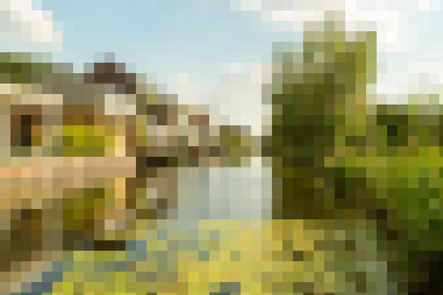 Noordereinde 311 's-Graveland thumbnail 31