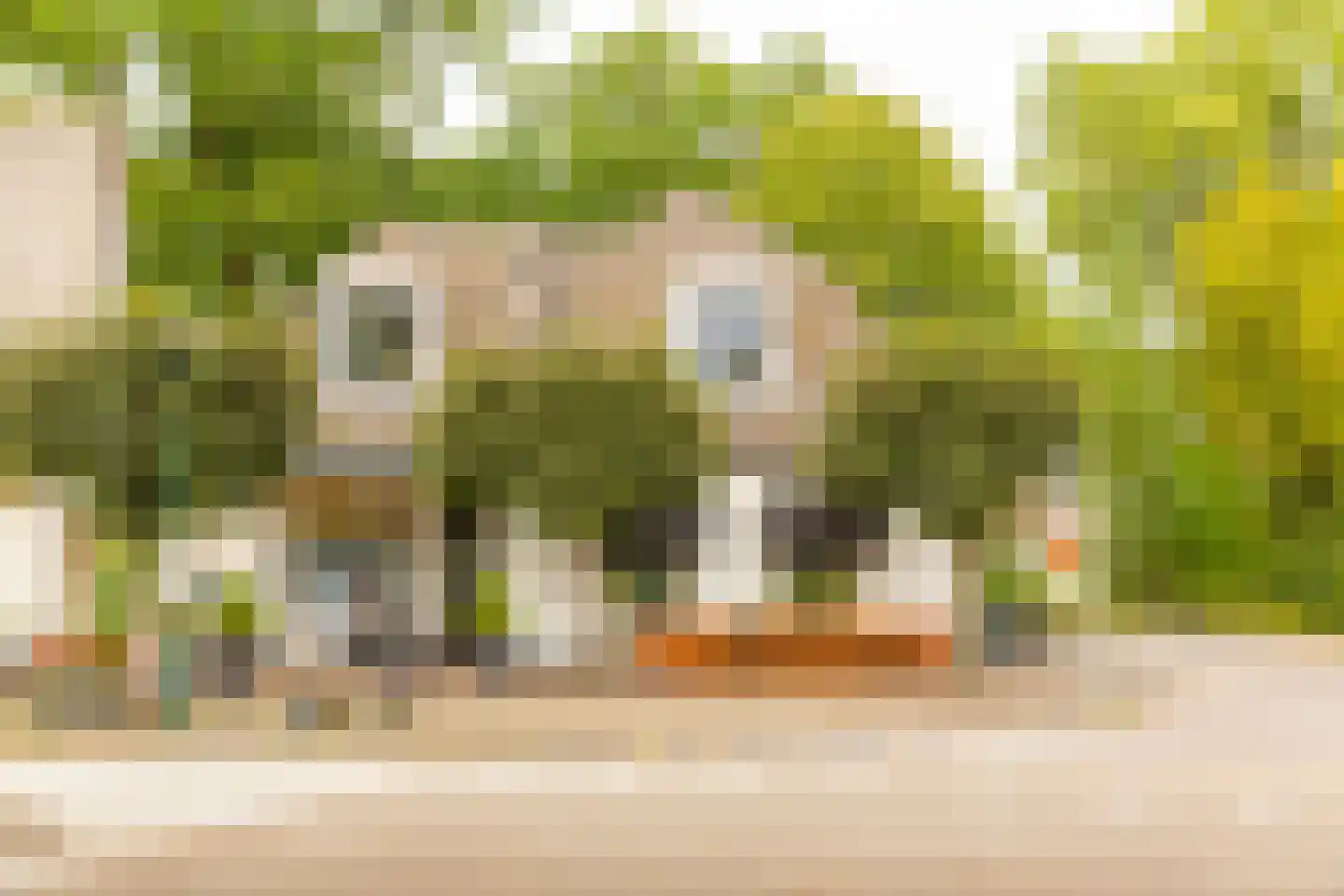 Noordereinde 311 's-Graveland thumbnail 32