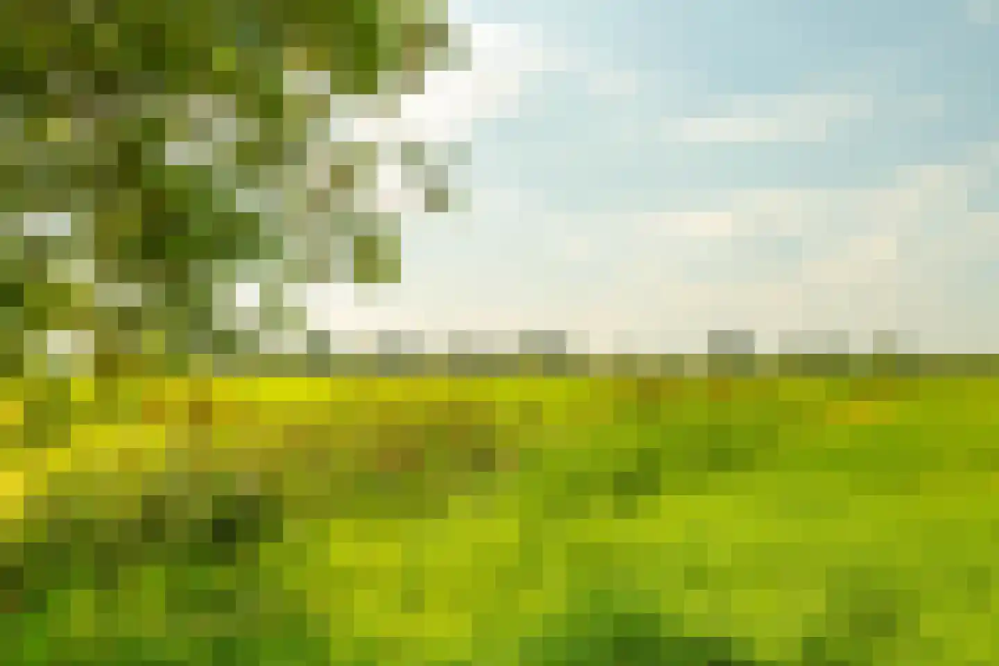 Noordereinde 311 's-Graveland thumbnail 33