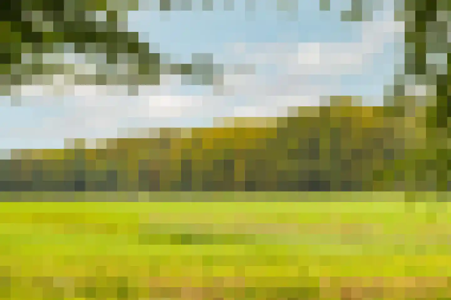 Noordereinde 311 's-Graveland thumbnail 34