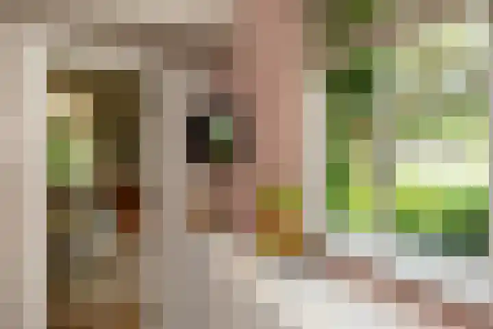 Noordereinde 4 's-Graveland thumbnail 10