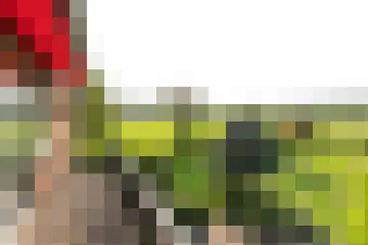 Noordereinde 4 's-Graveland thumbnail 26