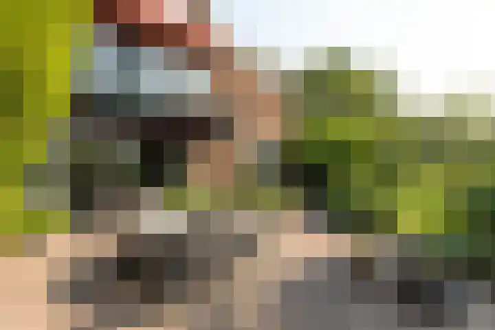 Noordereinde 4 's-Graveland thumbnail 34
