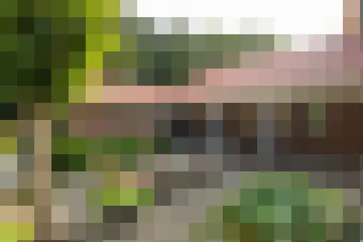 Noordereinde 4 's-Graveland thumbnail 35