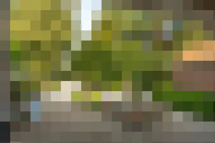 Noordereinde 4 's-Graveland thumbnail 36