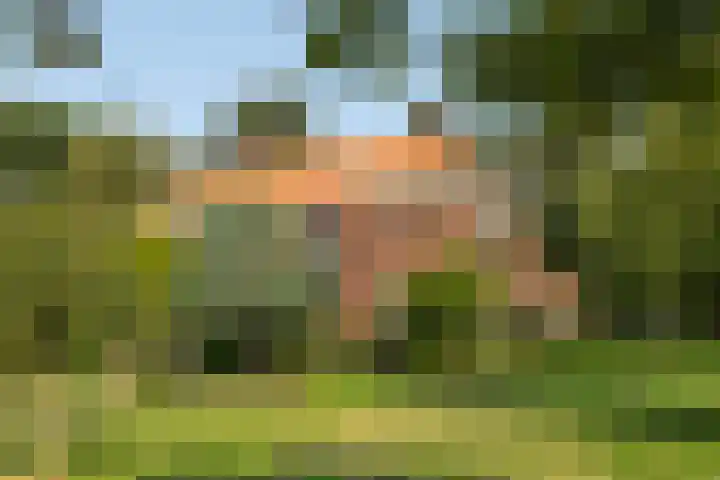 Noordereinde 4 's-Graveland thumbnail 37