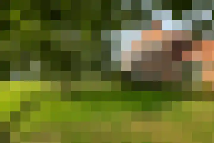 Noordereinde 4 's-Graveland thumbnail 38