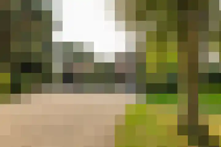 Noordereinde 4 's-Graveland thumbnail 39