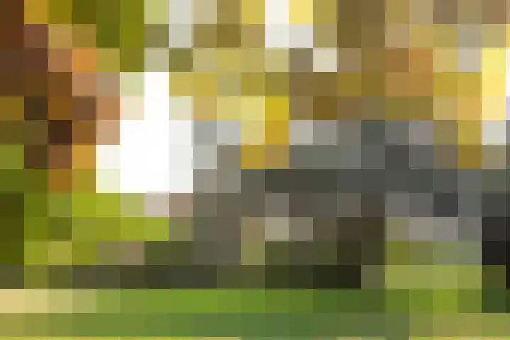 Noordereinde 4 's-Graveland thumbnail 41