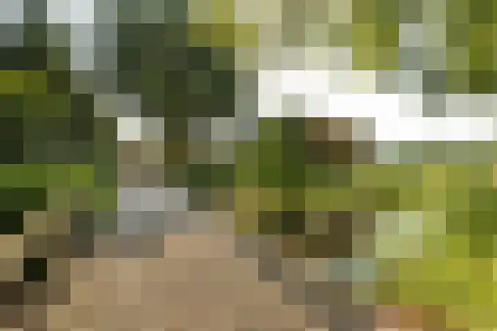 Noordereinde 4 's-Graveland thumbnail 42