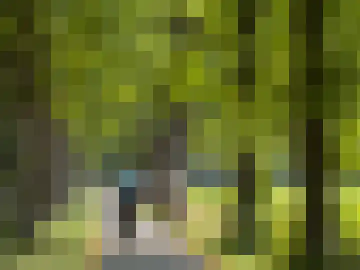 Noordereinde 4 's-Graveland thumbnail 44