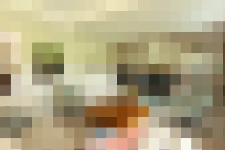 Noordereinde 4 's-Graveland thumbnail 6