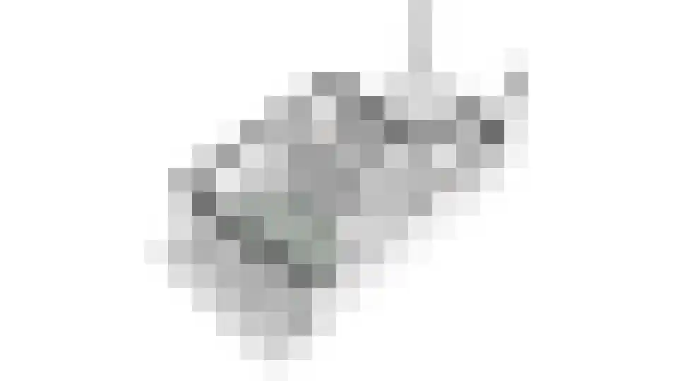 Noordereinde 47 A 's-Graveland thumbnail 38