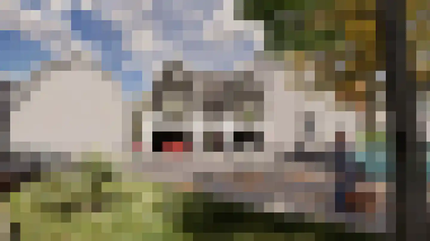 Noordereinde 47 's-Graveland thumbnail 17