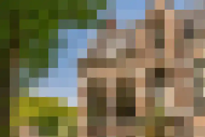 Noordereinde 49 b 's-Graveland foto 2