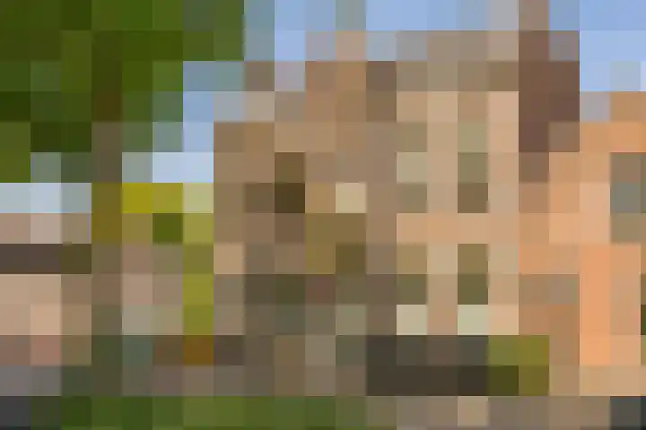 Noordereinde 49 b 's-Graveland thumbnail 20