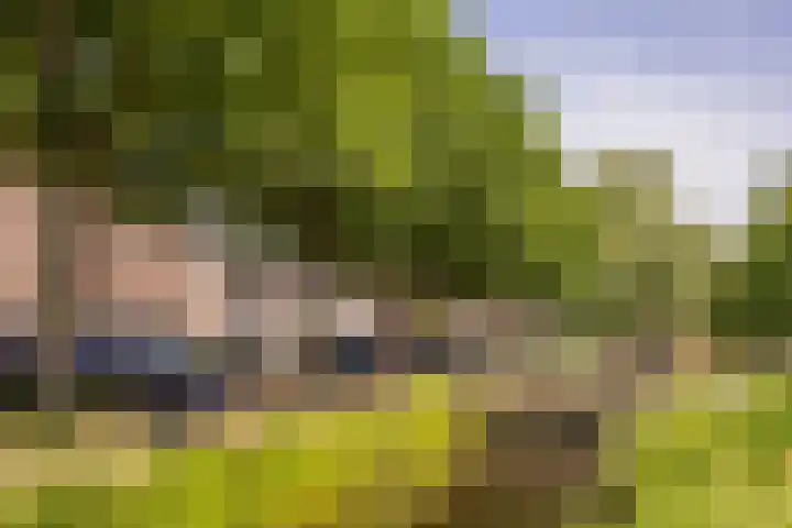 Noordereinde 49 b 's-Graveland thumbnail 23