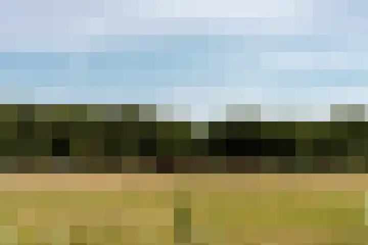Noordereinde 49 b 's-Graveland thumbnail 24