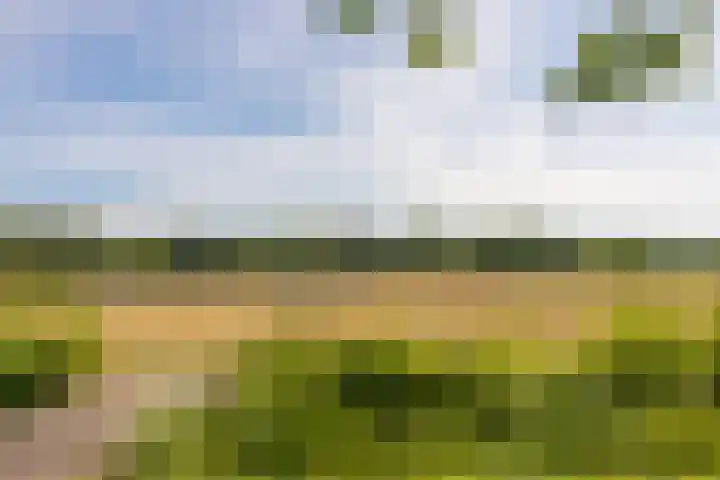 Noordereinde 49 b 's-Graveland thumbnail 25