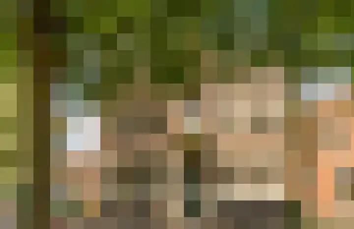 Noordereinde 49 b 's-Graveland thumbnail 30