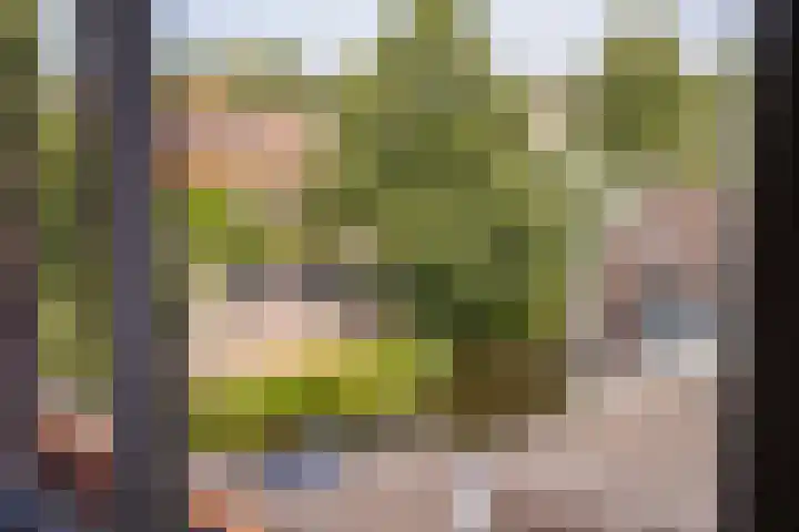 Noordereinde 49 b 's-Graveland thumbnail 8